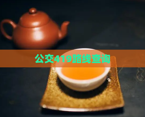 公交419路线查询