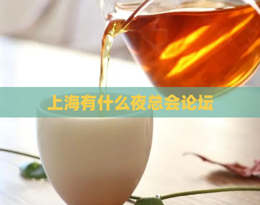 上海有什么夜总会论坛