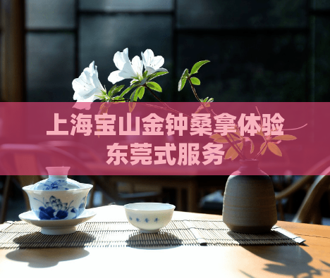 上海宝山金钟桑拿体验东莞式服务