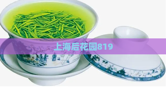 上海后花园819
