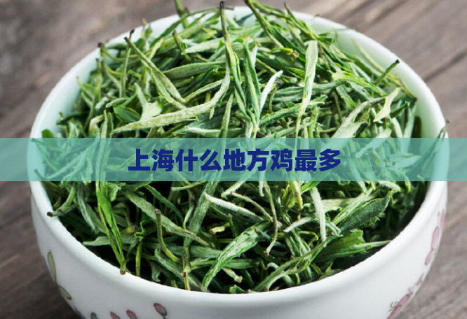 上海什么地方鸡最多