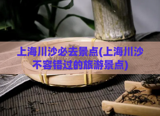 上海川沙必去景点(上海川沙不容错过的旅游景点)