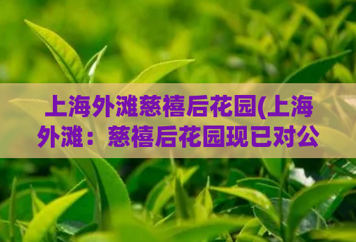 上海外滩慈禧后花园(上海外滩:慈禧后花园现已对公众开放!)