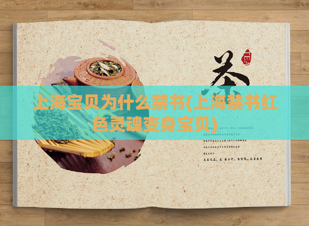 上海宝贝为什么禁书(上海禁书红色灵魂变身宝贝)
