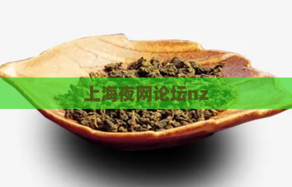 上海夜网论坛nz