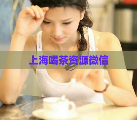 上海喝茶资源微信