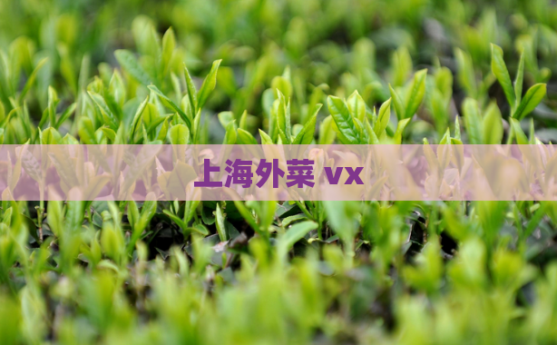 上海外菜 vx