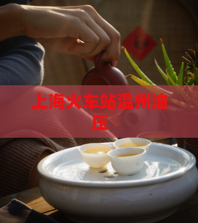 上海火车站温州油压
