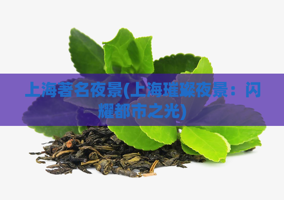上海著名夜景(上海璀璨夜景：闪耀都市之光)