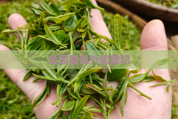 全国楼凤外围兼职