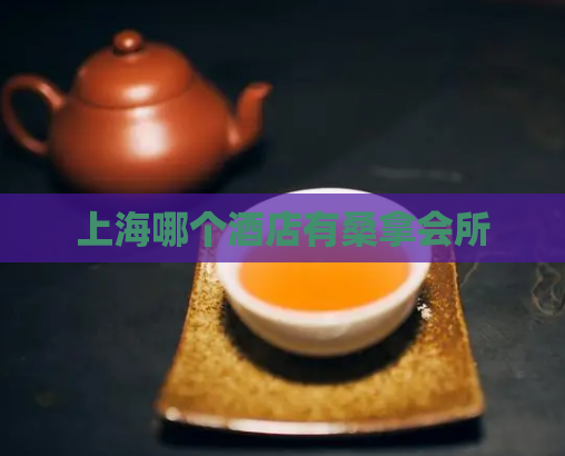 上海哪个酒店有桑拿会所