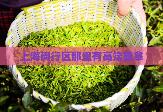 上海闵行区那里有高端桑拿