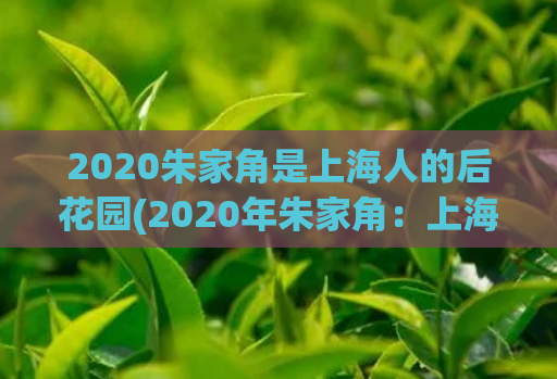 2020朱家角是上海人的后花园(2020年朱家角：上海市民的后花园)