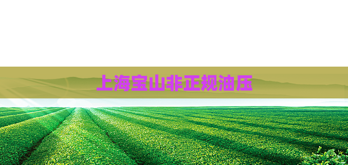 上海宝山非正规油压