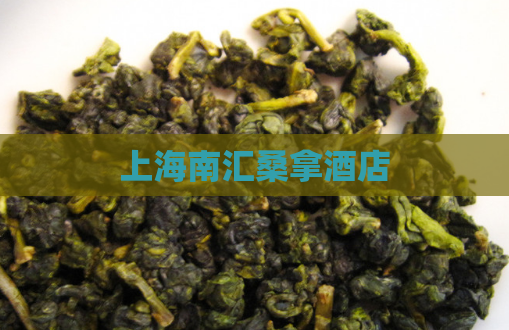 上海南汇桑拿酒店