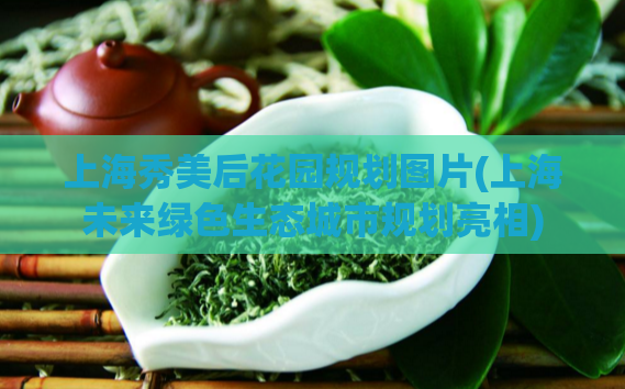 上海秀美后花园规划图片(上海未来绿色生态城市规划亮相)