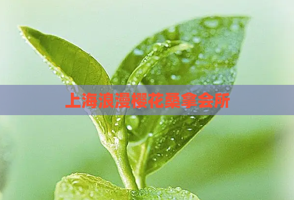 上海浪漫樱花桑拿会所