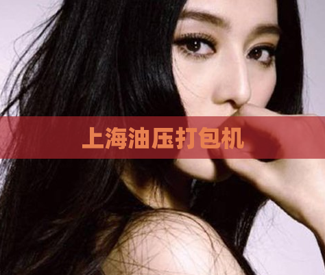 上海油压打包机