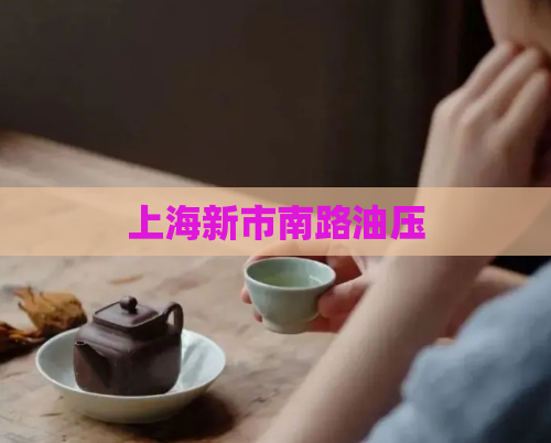 上海新市南路油压