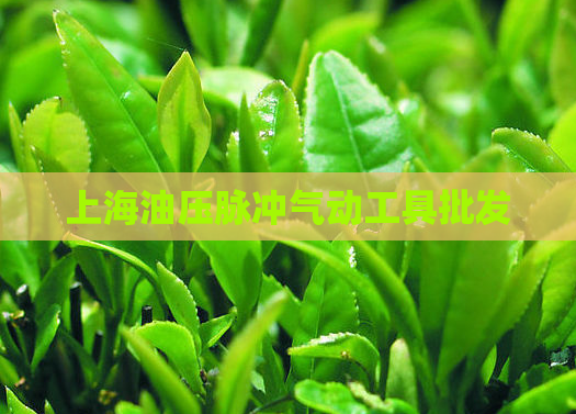 上海油压脉冲气动工具批发