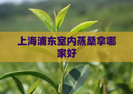 上海浦东室内蒸桑拿哪家好