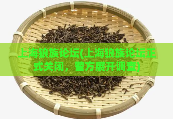 上海狼族论坛(上海狼族论坛正式关闭，警方展开调查)