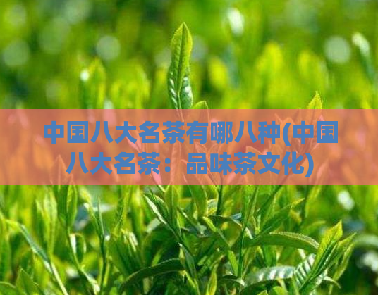 中国八大名茶有哪八种(中国八大名茶:品味茶文化)