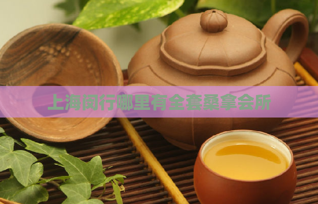 上海闵行哪里有全套桑拿会所