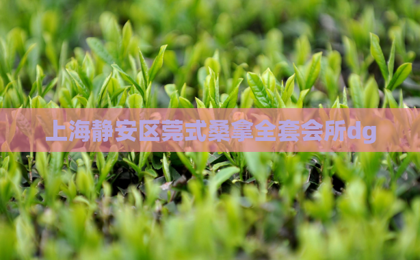 上海静安区莞式桑拿全套会所dg