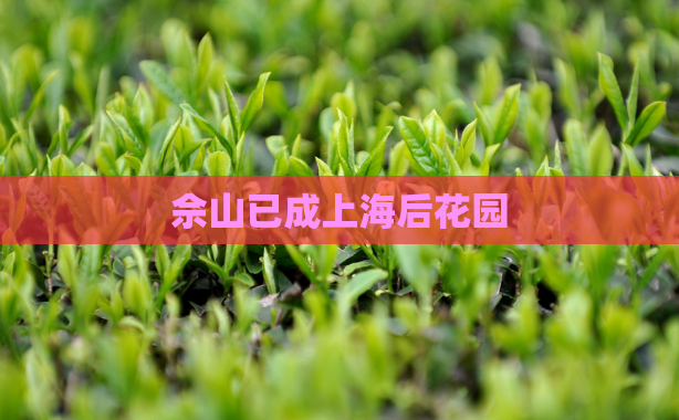 佘山已成上海后花园
