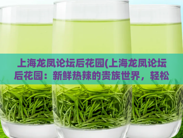 上海龙凤论坛后花园(上海龙凤论坛后花园：新鲜热辣的贵族世界，轻松享受生活)