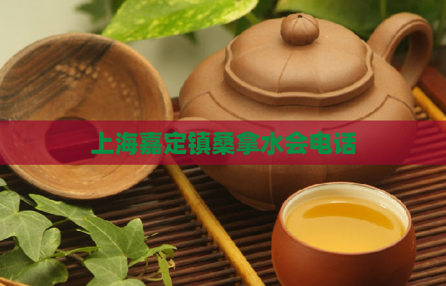 上海嘉定镇桑拿水会电话