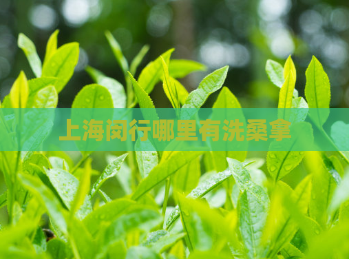 上海闵行哪里有洗桑拿