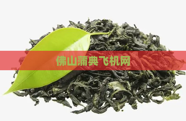 佛山蒲典飞机网