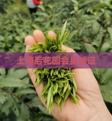 上海后花园会员验证
