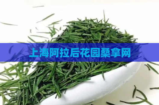 上海阿拉后花园桑拿网