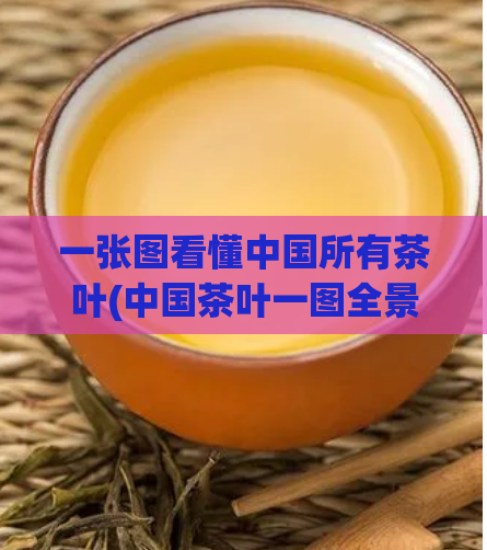一张图看懂中国所有茶叶(中国茶叶一图全景,茶叶分类尽收眼底)