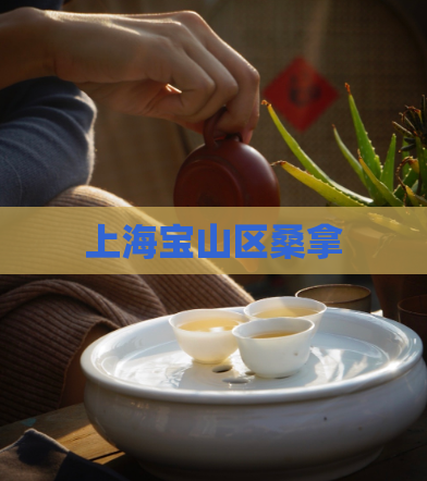 上海宝山区桑拿