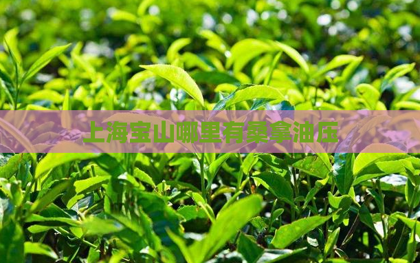 上海宝山哪里有桑拿油压