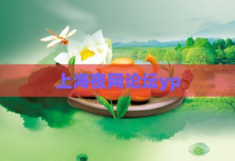 上海夜网论坛yp