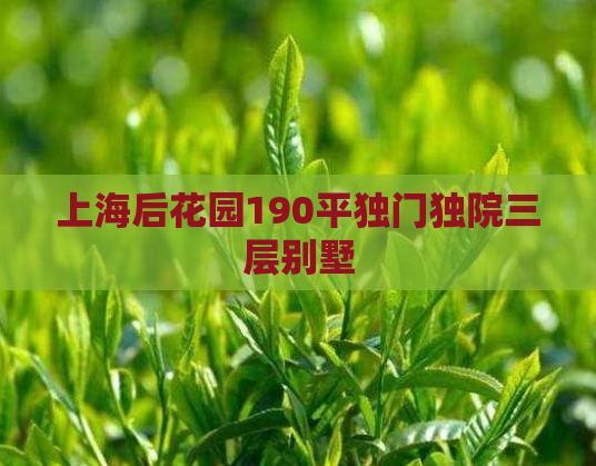 上海后花园190平独门独院三层别墅
