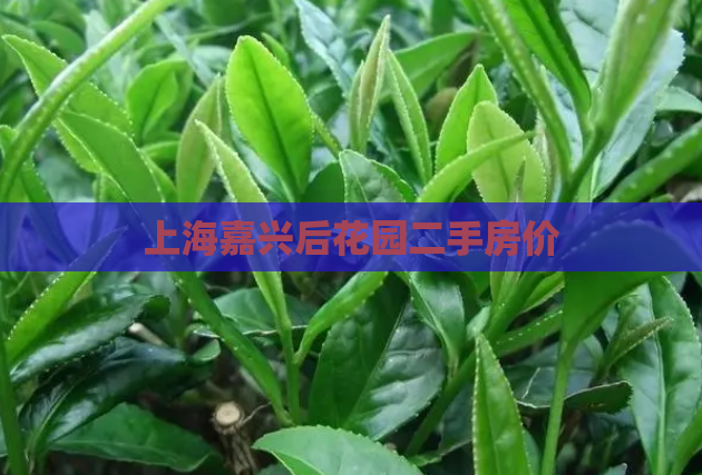 上海嘉兴后花园二手房价