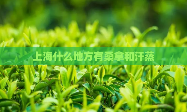 上海什么地方有桑拿和汗蒸