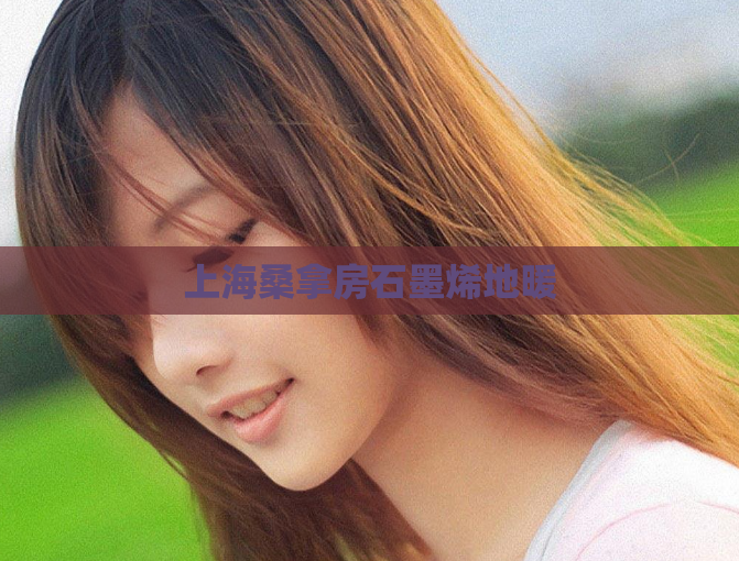 上海桑拿房石墨烯地暖