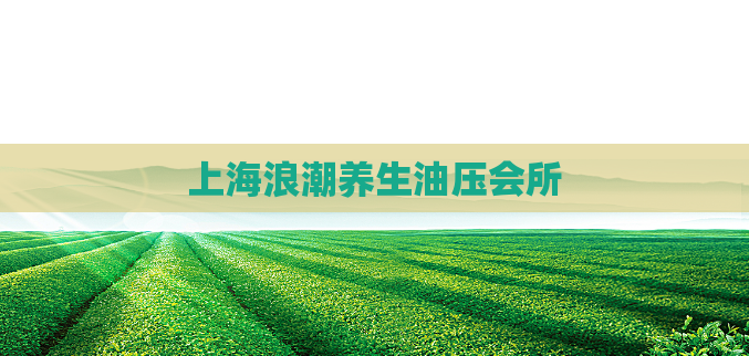 上海浪潮养生油压会所