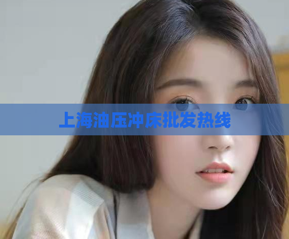 上海油压冲床批发热线