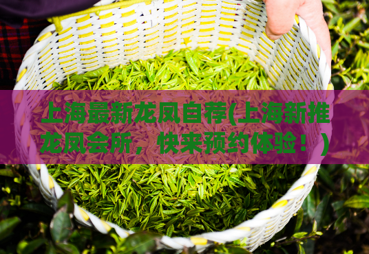 上海最新龙凤自荐(上海新推龙凤会所，快来预约体验！)