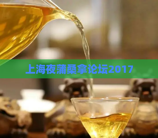 上海夜蒲桑拿论坛2017