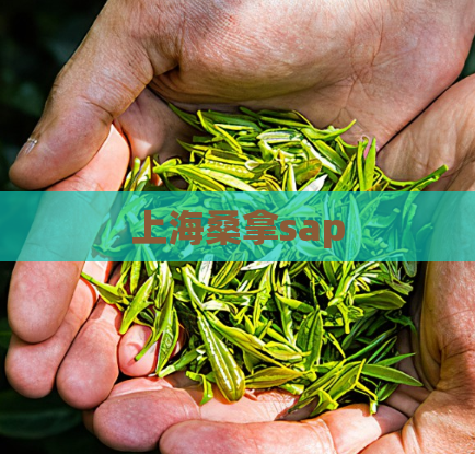 上海桑拿sap