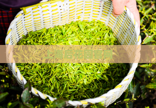 上海后花园官网